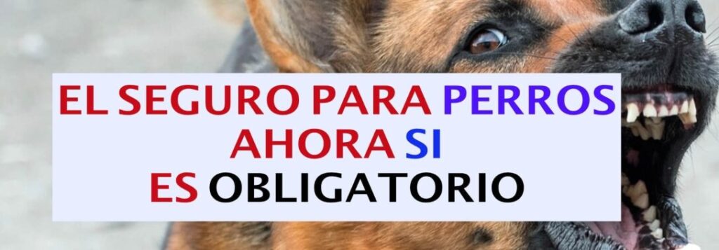 Seguro obligatorio de responsabilidad civil para perros Alicún Seguro obligatorio de responsabilidad civil para perros Alicún