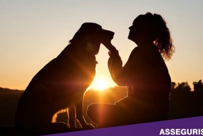 Seguro obligatorio de responsabilidad civil para perros Alpandeire