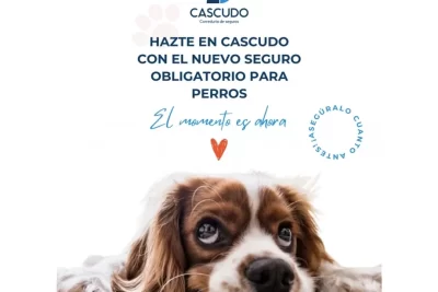 Seguro obligatorio de responsabilidad civil para perros Alpujarra de la Sierra