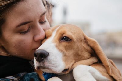 Seguro obligatorio de responsabilidad civil para perros Las Palmas de Gran Canaria